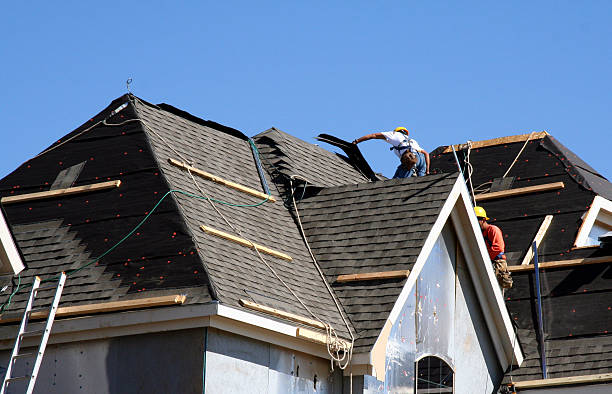 Best Storm Damage Roof Repair  in Taylor Creek, FL